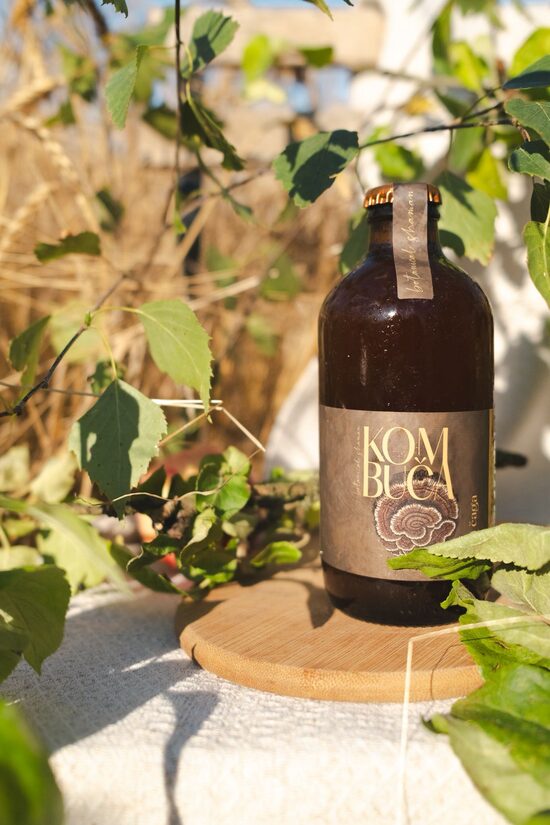 Čagas kombuča (10x330ml)