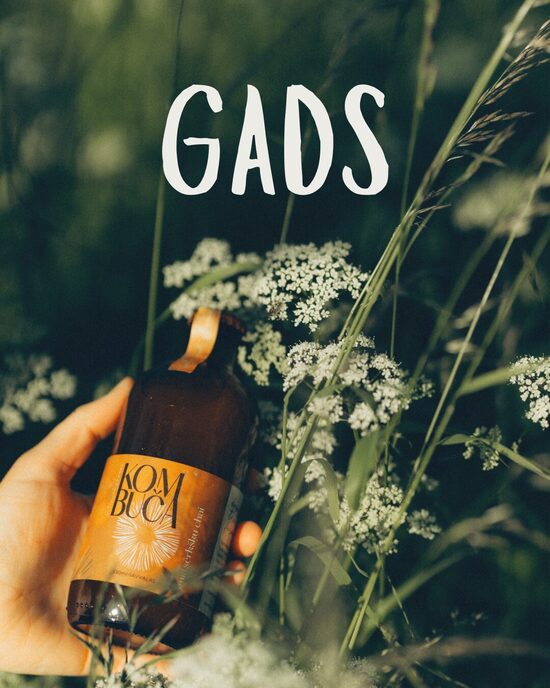 GADA ABONEMENTS 2026